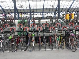 Ben Arnold NEAT bike rack